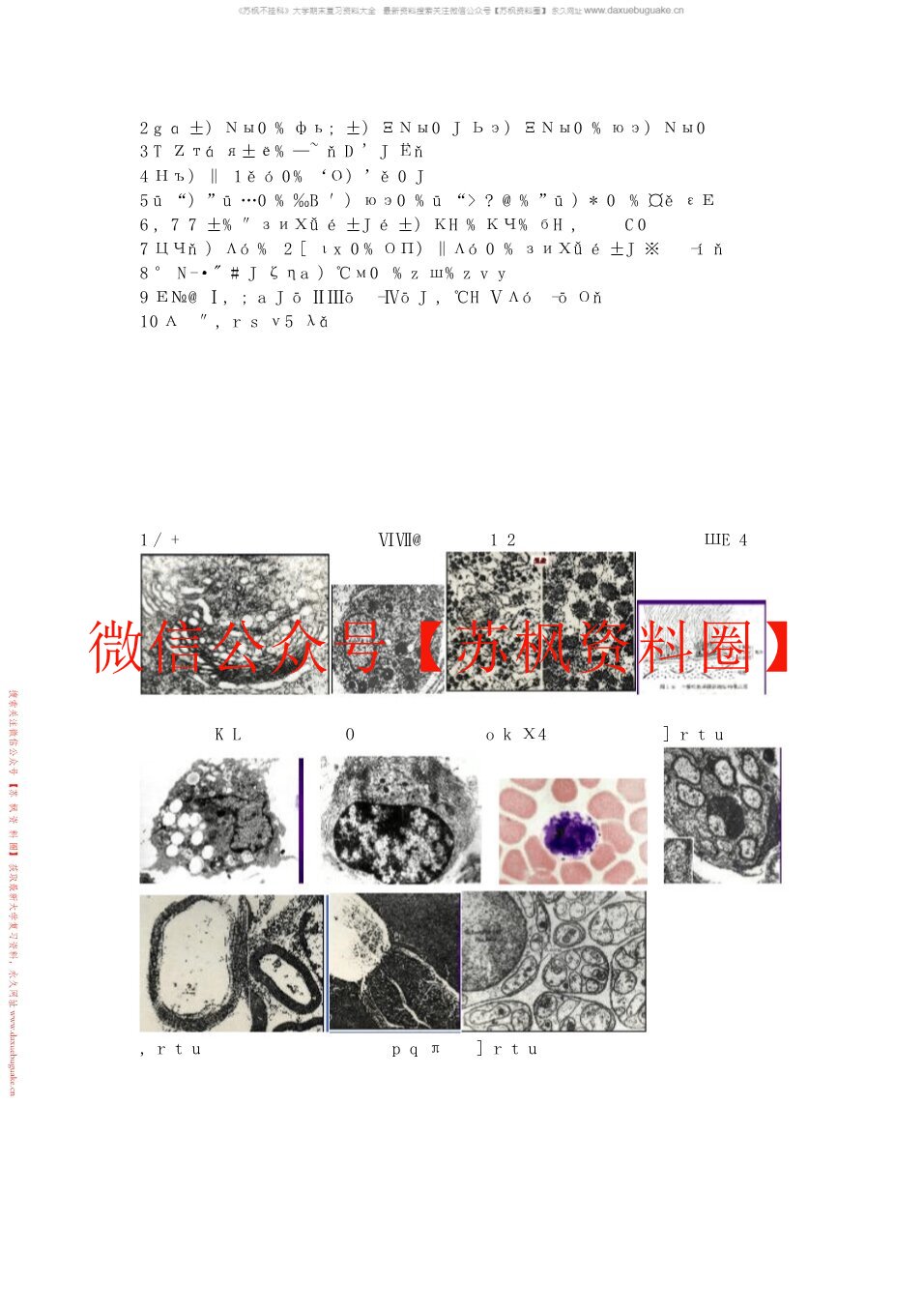 组织学与胚胎学